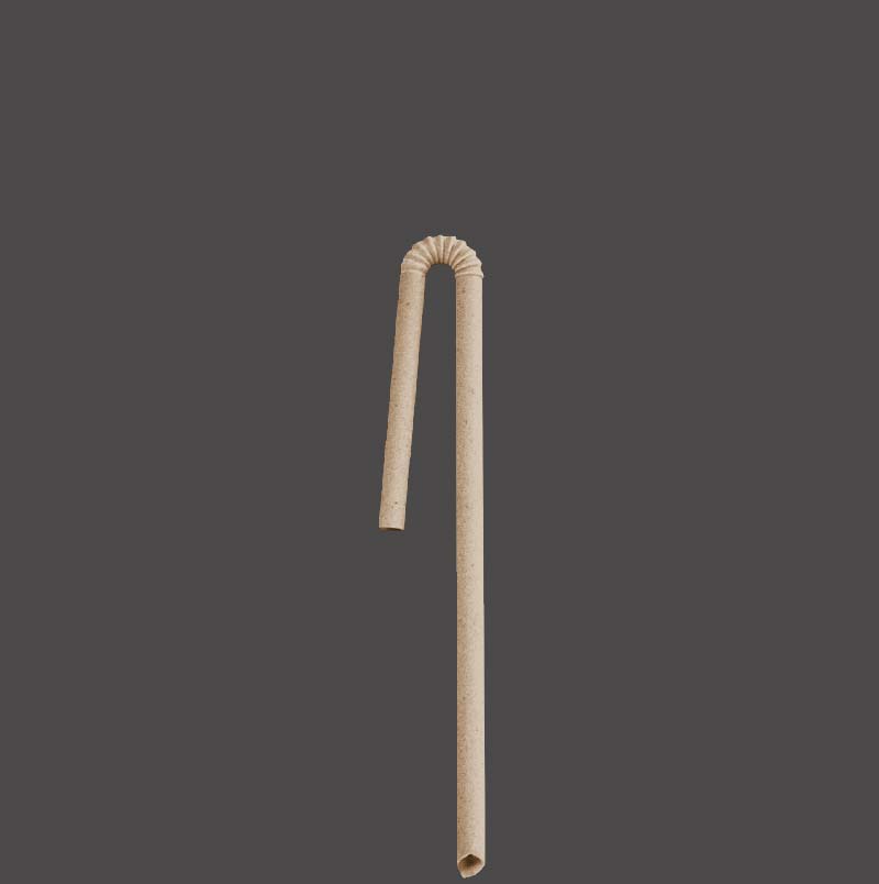 Bamboo professional - Juice Box Straw
