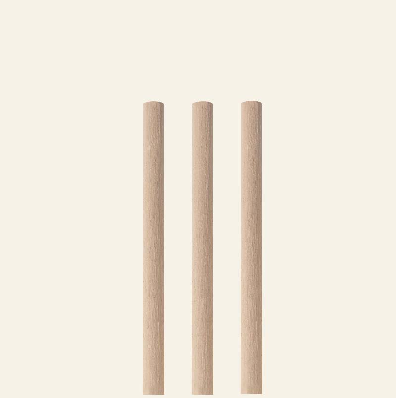 Bamboo - Straws